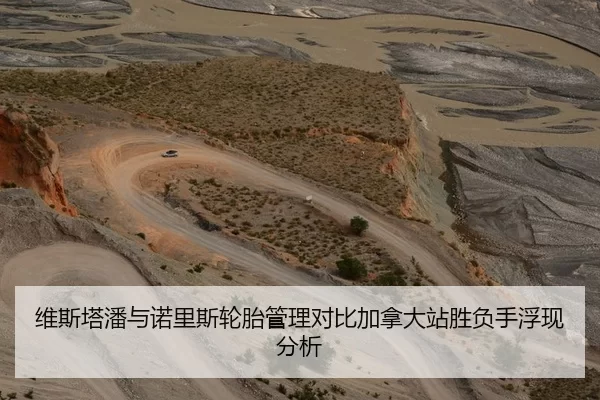 维斯塔潘与诺里斯轮胎管理对比加拿大站胜负手浮现分析