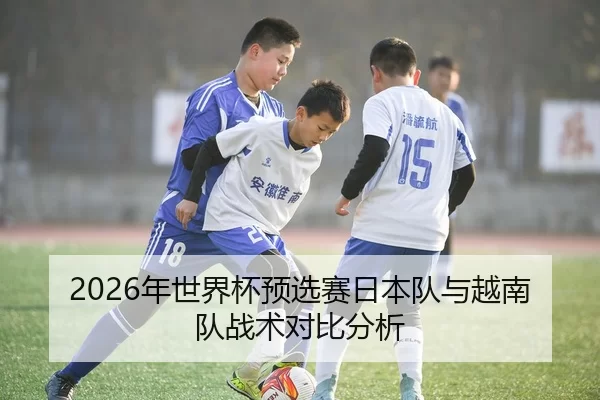 2026年世界杯预选赛日本队与越南队战术对比分析