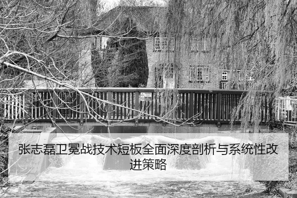 zhang-zhi-lei-wei-mian-zhan-ji-shu-duan-ban-quan-mian-shen-du-pou-xi-yu-xi-tong-xing-gai-jin-ce-lve-3-350.jpg