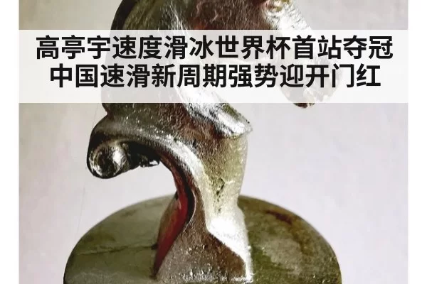 高亭宇速度滑冰世界杯首站夺冠 中国速滑新周期强势迎开门红