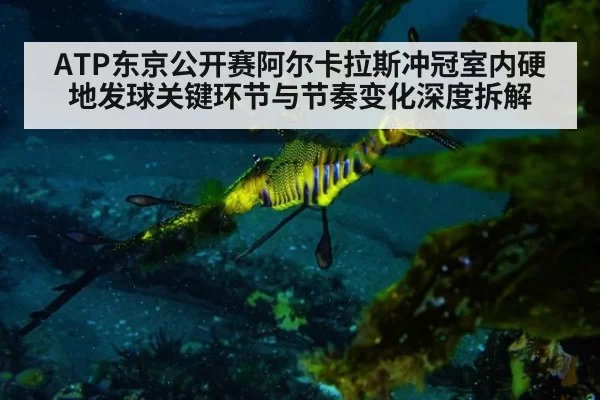 ATP东京公开赛阿尔卡拉斯冲冠室内硬地发球关键环节与节奏变化深度拆解